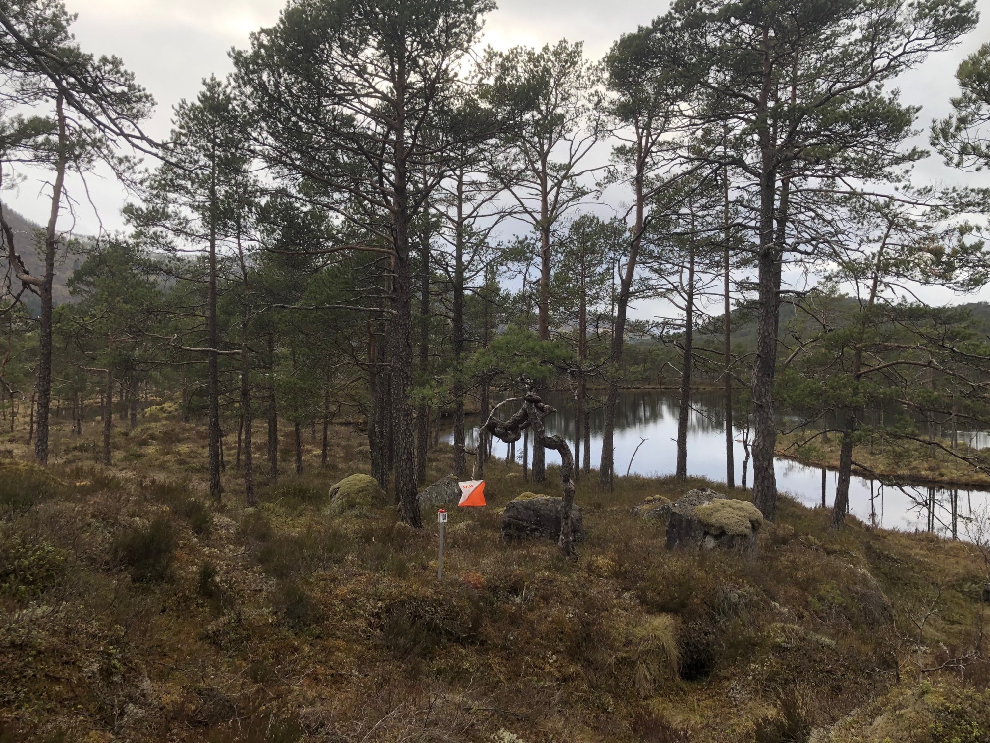 Årsmøte tysdag 14. februar